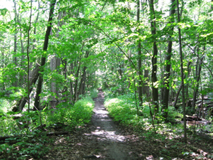 rencontrer japonais bordeaux